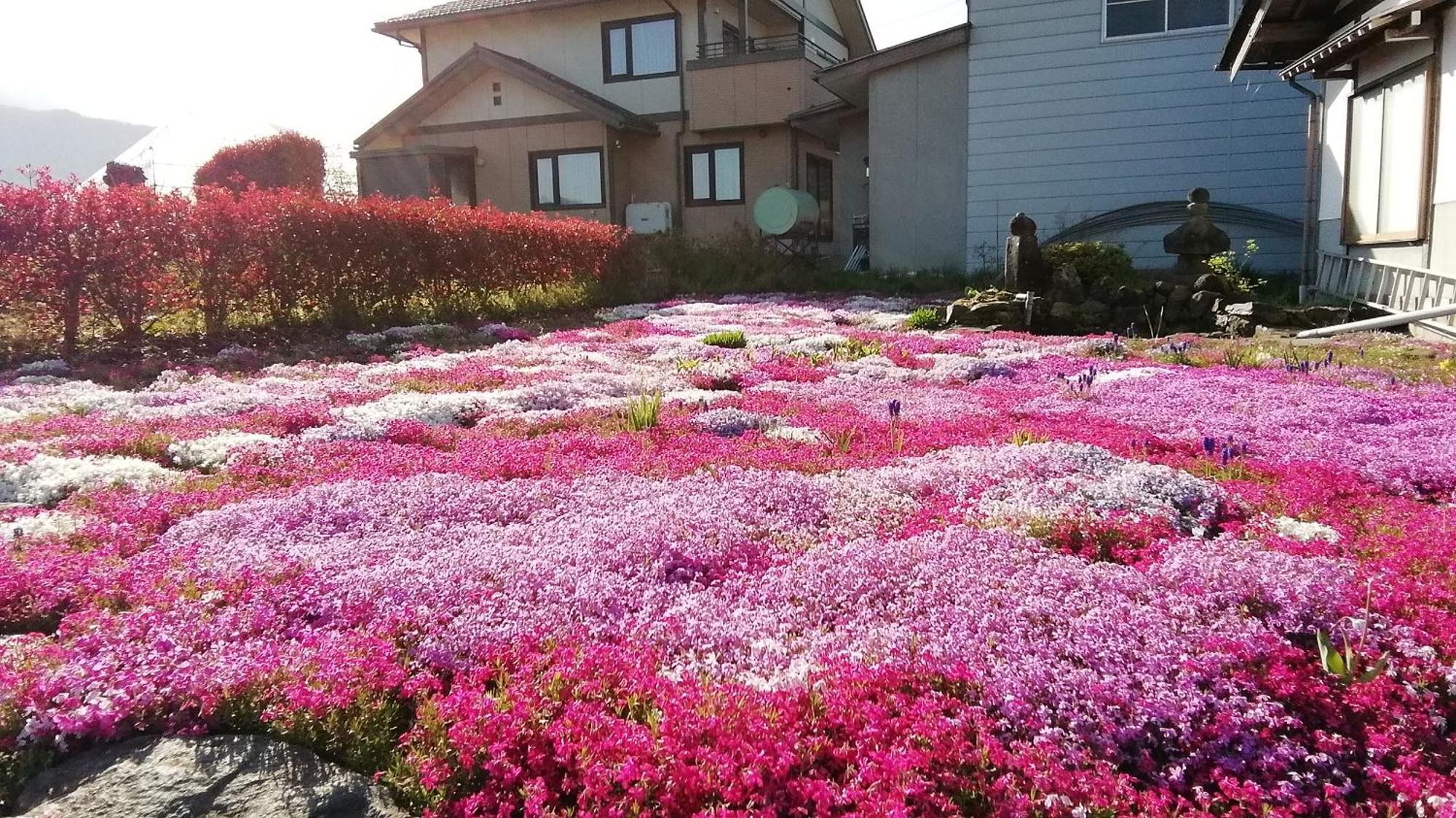 Guest House Honami-Kaido Yamanouchi  Dış mekan fotoğraf